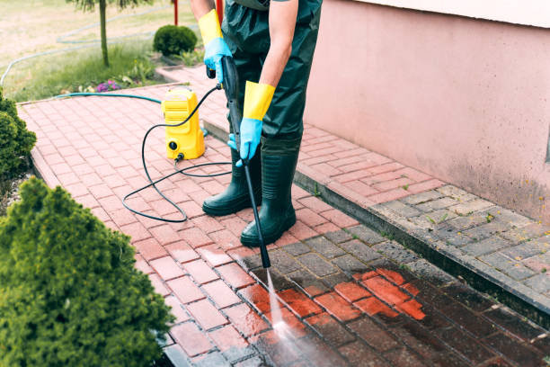 Best Exterior Home Cleaning  in Marion, MS