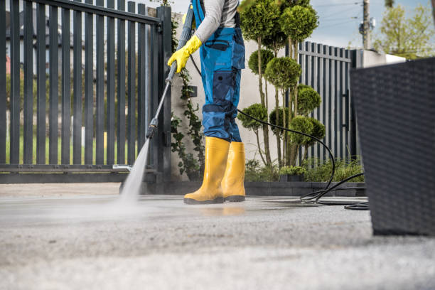 Best Pressure Washing Driveway  in Marion, MS