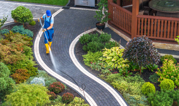 Best Local Pressure Washing Services  in Marion, MS