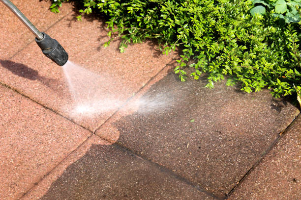 Best Local Pressure Washing Services  in Marion, MS